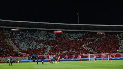 Zvezda bira članove Skupštine: Kandidati Milojević, Pižon, Žigić, Đurovski...