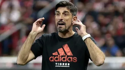 Veljko Paunović (©AFP)