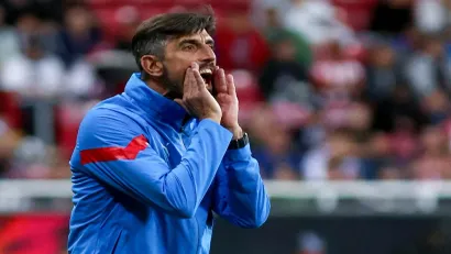 Veljko Paunović (Guliver images)