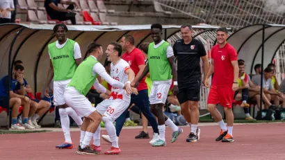(@Nemanja Miletić)