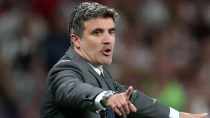 Zoran Mamić (©Reuters)