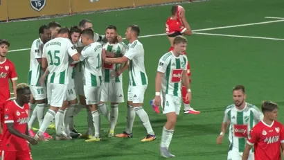 Fudbaleri Loznice sa Danilom Pantićem proslavljaju gol (©YouTube)