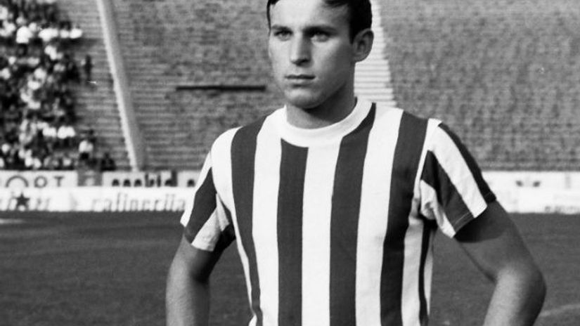 "Dragan Džajić"