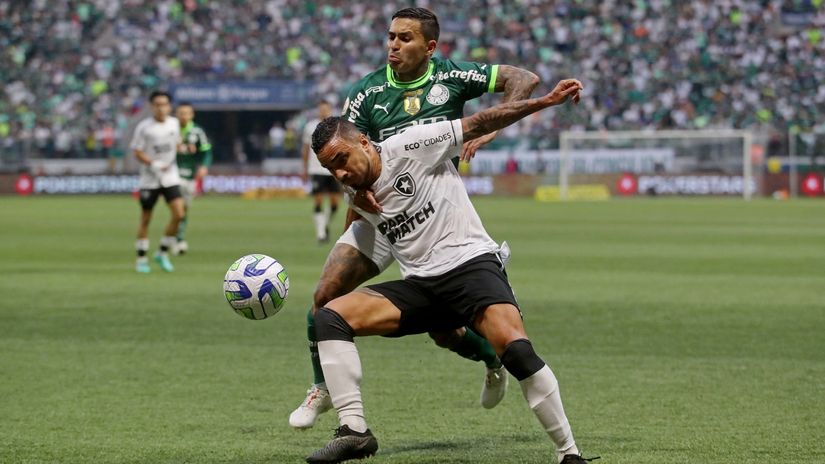 Detalj sa prošlog susreta Palmeirasa i Botafoga (©Reuters)