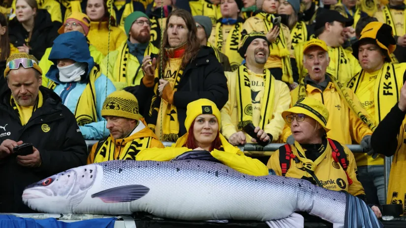 Navijači Bode Glimta (©Reuters)