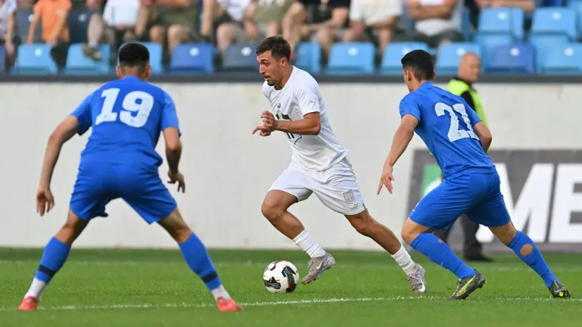 Aleksić (MN Press)