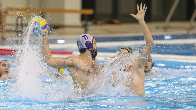 (©VSS/Slobodan Sandić)