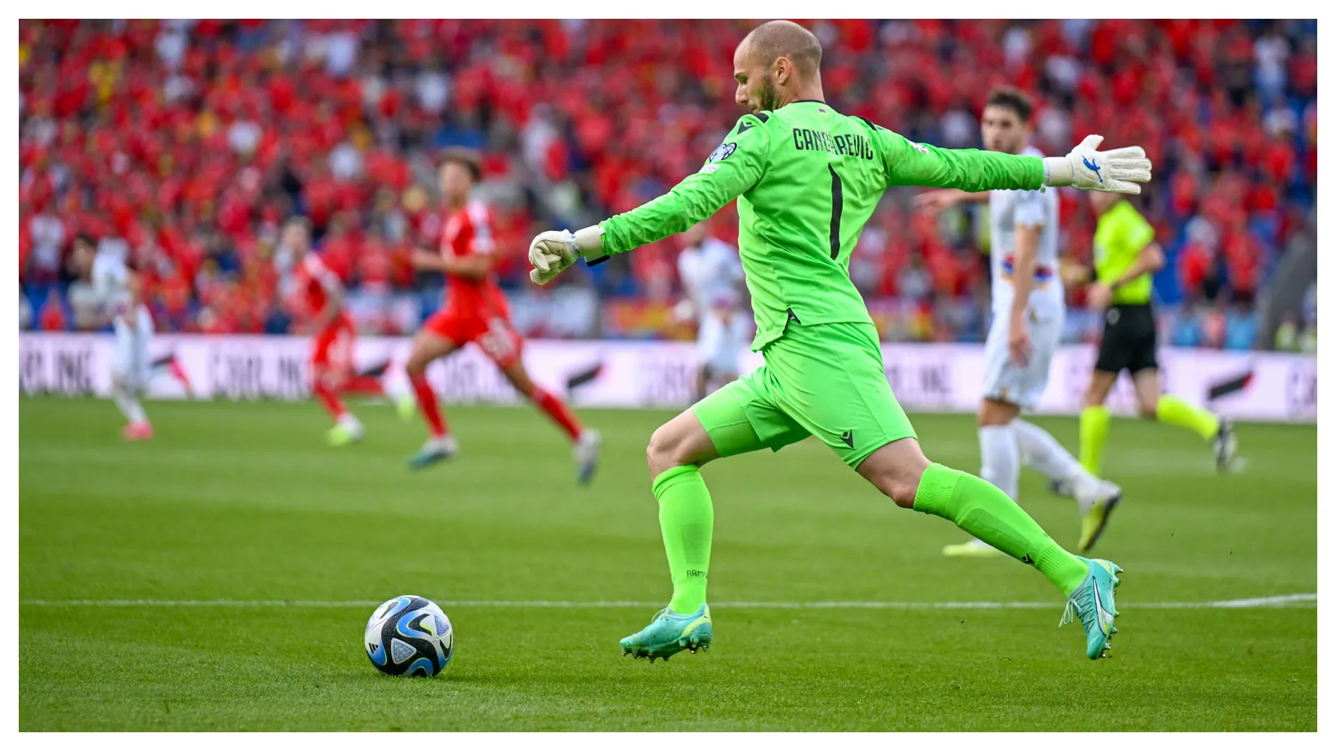 ©Guliverimages/ xWaynexTuckwellx