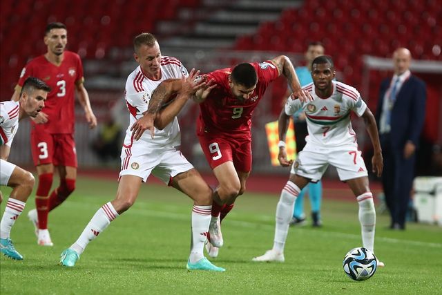Aleksandar Mitrović (© MN Press)