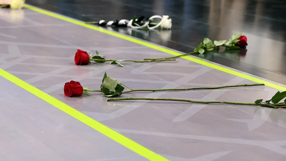 Detalj iz Beogradske arene (©Star Sport)