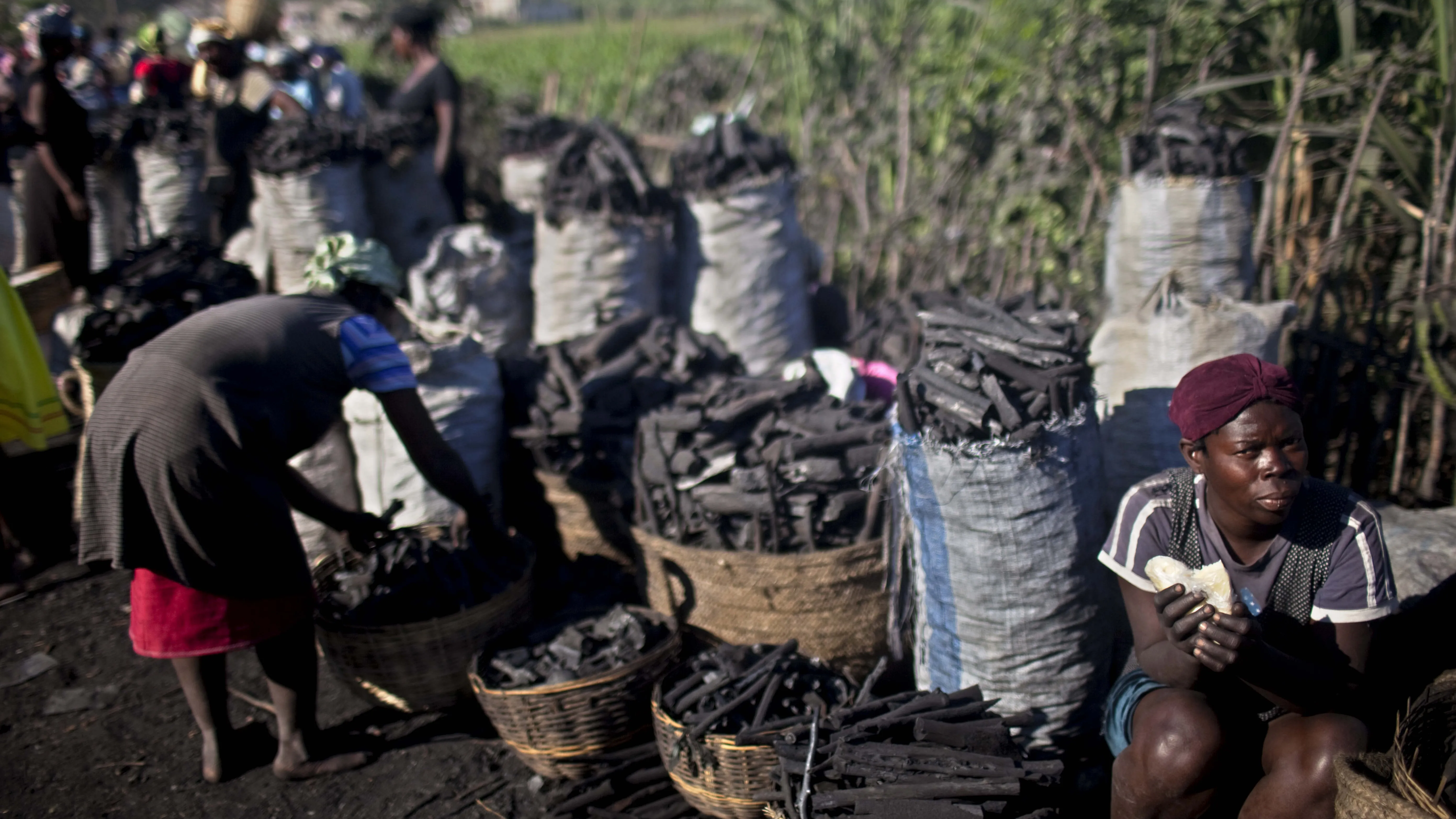 Oko 800.000 stanovnika Haitija bilo je zaraženo kolerom ©Guliverimages/AP Photo/Rodrigo Abd
