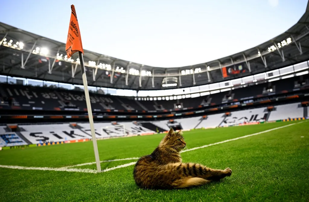 Stadion Bešiktaša, na kojem će biti odigrano finale (©AFP)