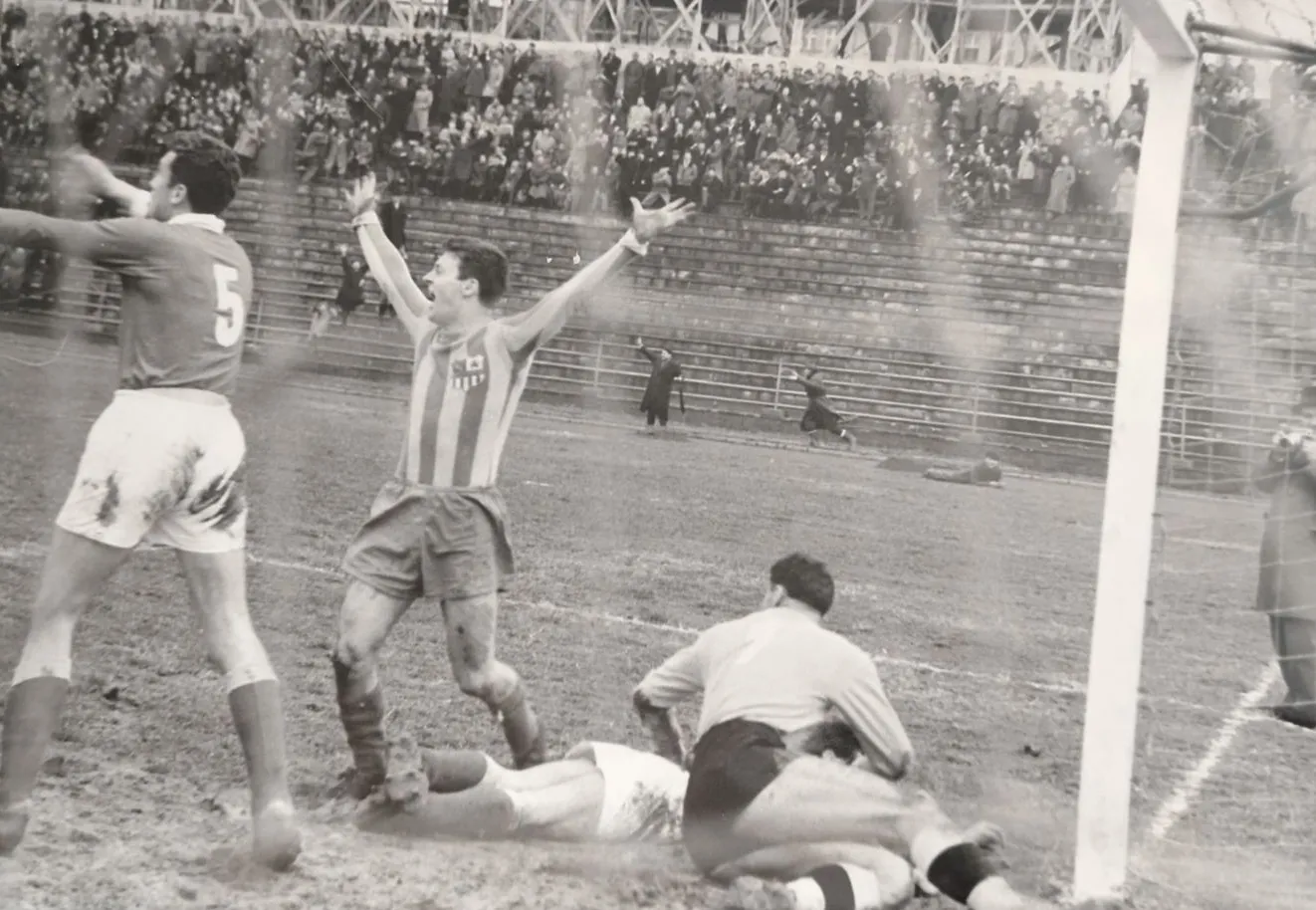 U dresu OFK Beograda