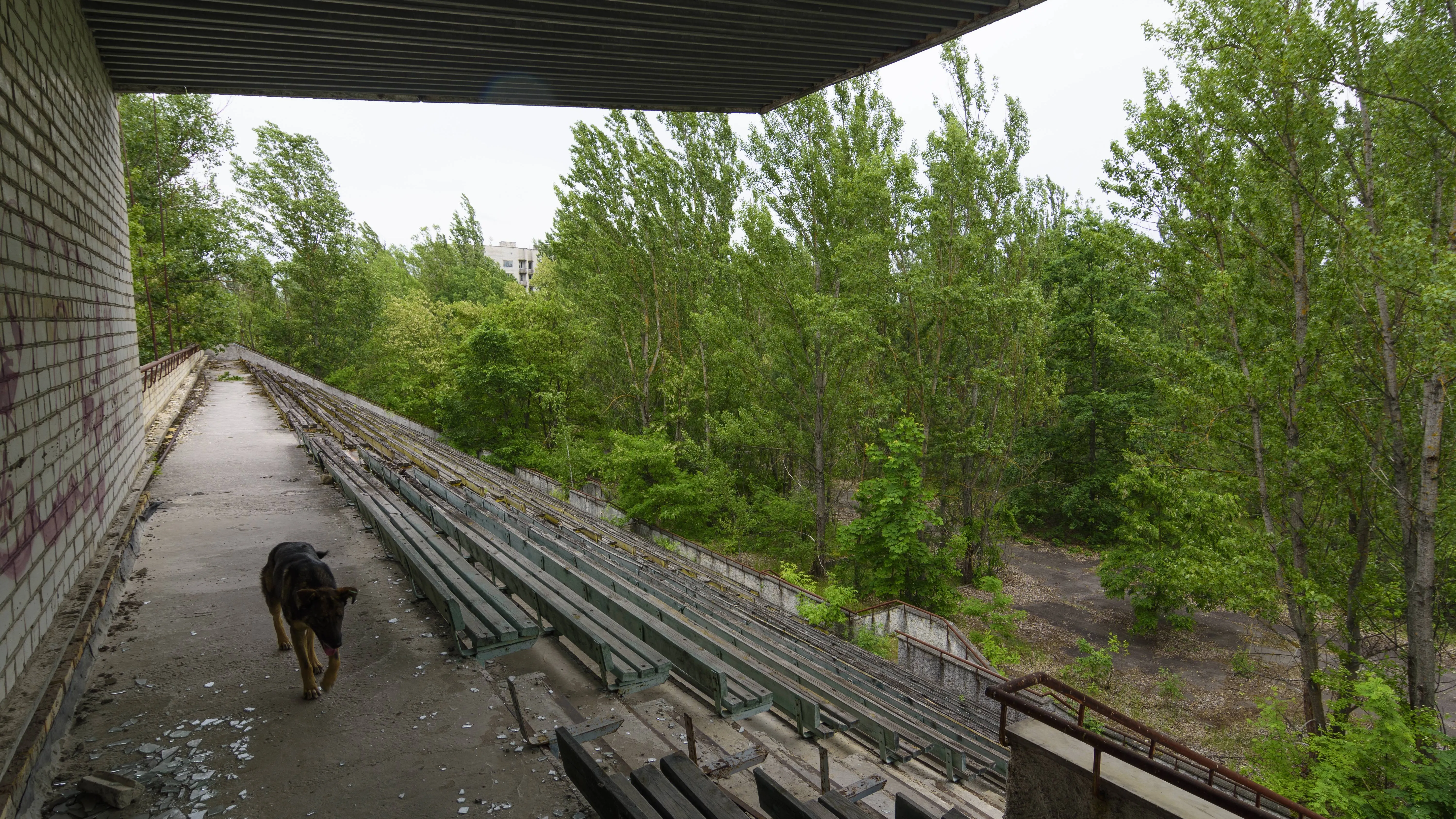 Stadion Avanhard ©Guliverimages