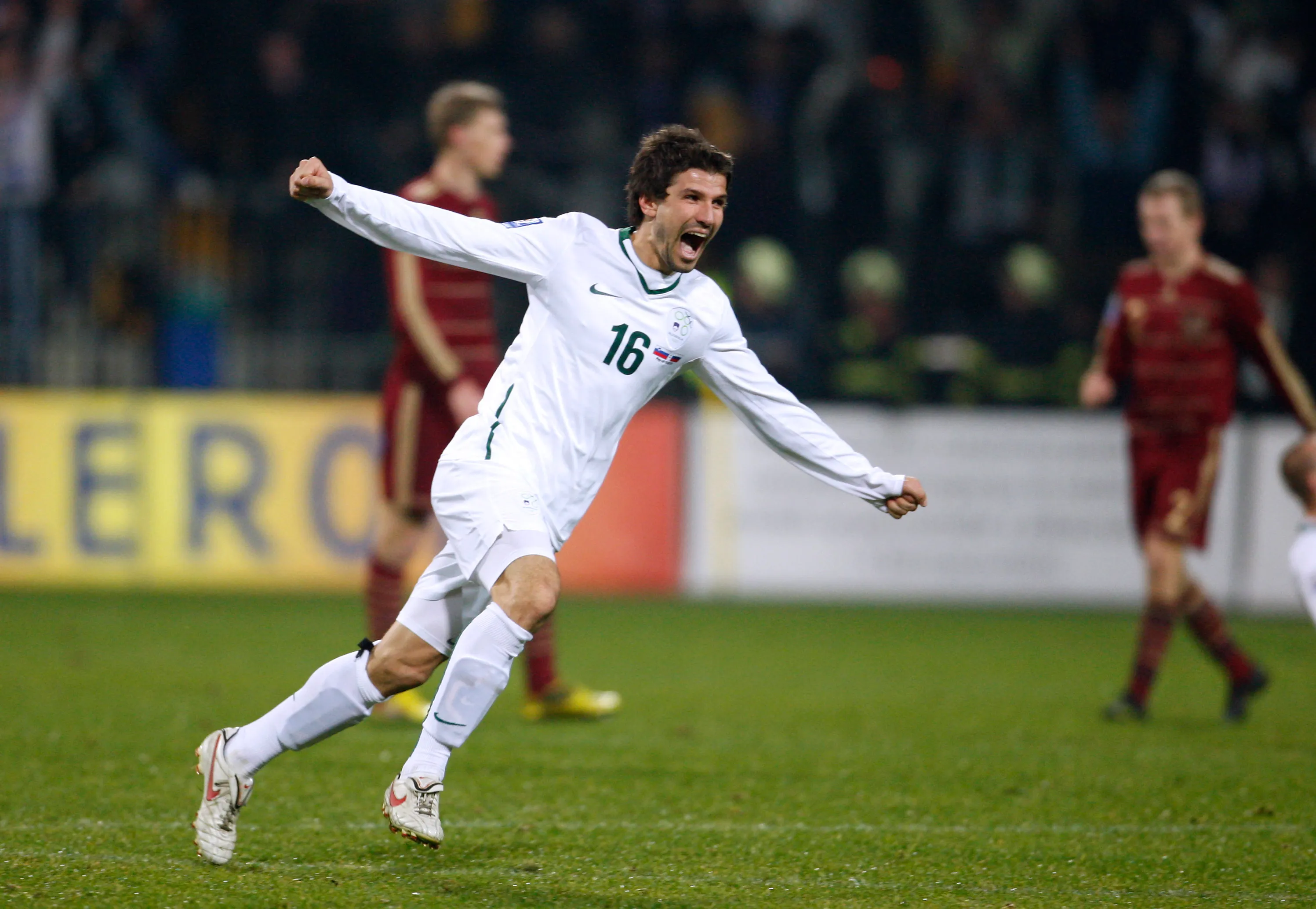Dalibor Stevanović u dresu Slovenije 2009. godine (©Reuters)