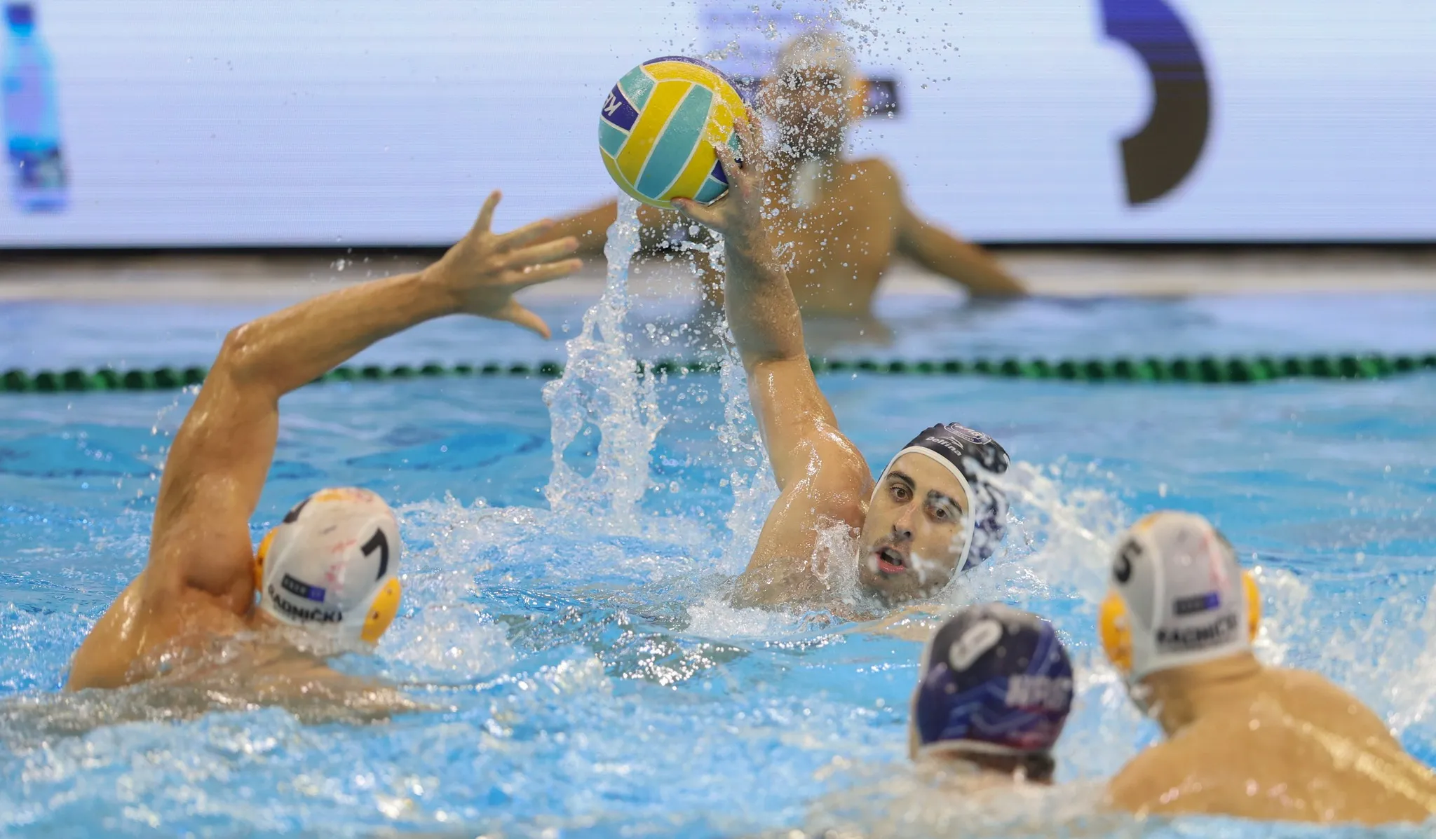 (©VSS/Slobodan Sandić)