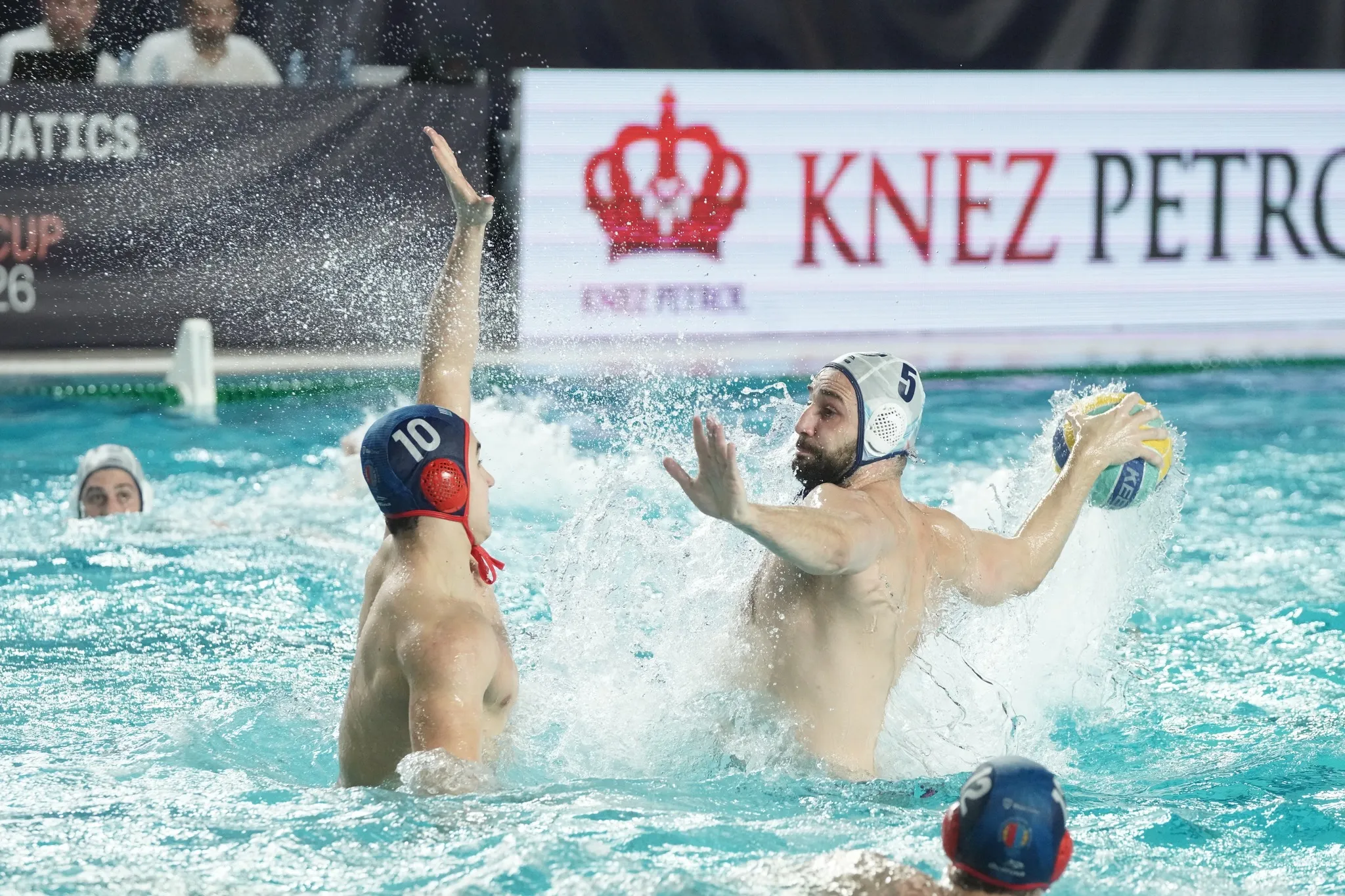 (©VSS/Slobodan Sandić)