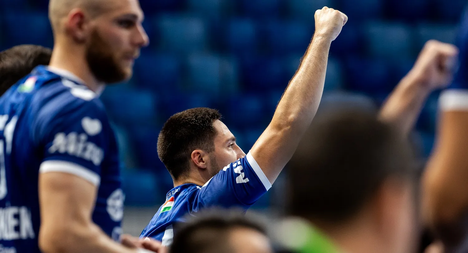 (©Pickhandball)